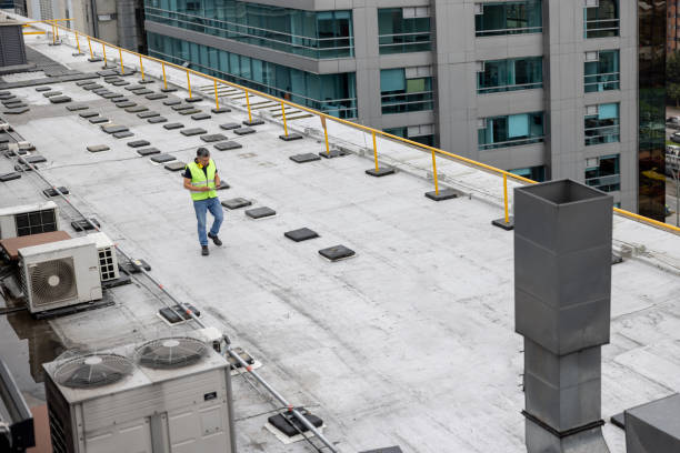 Best Rubber Roofing (EPDM, TPO)  in Deer Park, IL