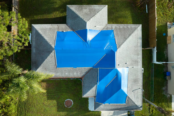Best Steel Roofing  in Deer Park, IL