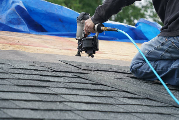 Steel Roofing in Deer Park, IL