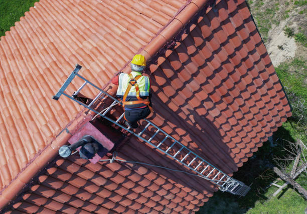 Best Asphalt Shingle Roofing  in Deer Park, IL