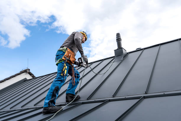 Best Roof Leak Repair  in Deer Park, IL
